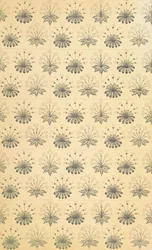Arts and Crafts Design (Textil)